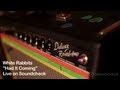 White Rabbits: I Had It Coming, Live on Soundcheck