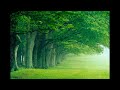 Prolix - Visualize