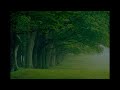 Prolix - Visualize