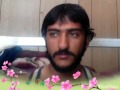 Gul..tiaz