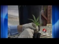 Going inside a medical marijuana growing facility