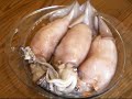 Inihaw na Pusit (Grilled Squid)