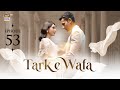 Tark e Wafa Episode 53  29 August 2024  ARY Digital Drama