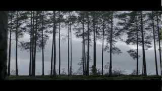 iamamiwhoami – good worker
