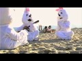 Honey Bunny Song - Idea