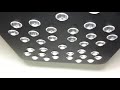 X5 LED grow light (5 watt H.O. chipsets), Medical Marijuana Grow - Week 8