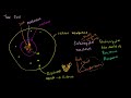 Parts of a cell