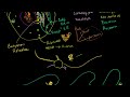 Parts of a cell