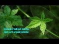 Joe Esposito - Lady, Lady, Lady wlyrics