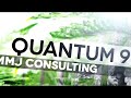 Marijuana Consulting
