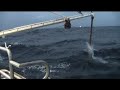 Prawn Trawler Boats Part 3 - Prep to Trawl & Shooting Away