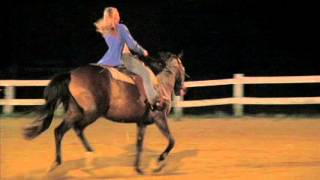 Bethel Road Saddle Club Adult Barrel Ride Like This Courtney 130726 