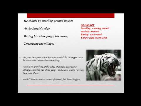 CLASS-X (ENGLISH LANGUAGE AND LITERATURE) A tiger in the zoo