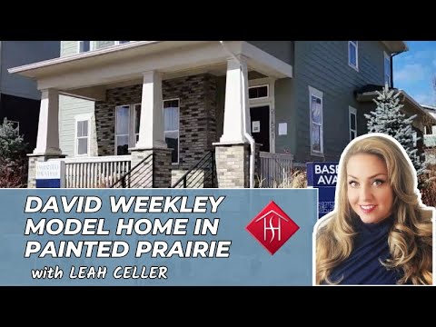 Tour The Stunning David Weekley Washburn Model Home In Painted Prairie