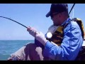 Jack Crevalle from a Hobie Adventure Island BTB