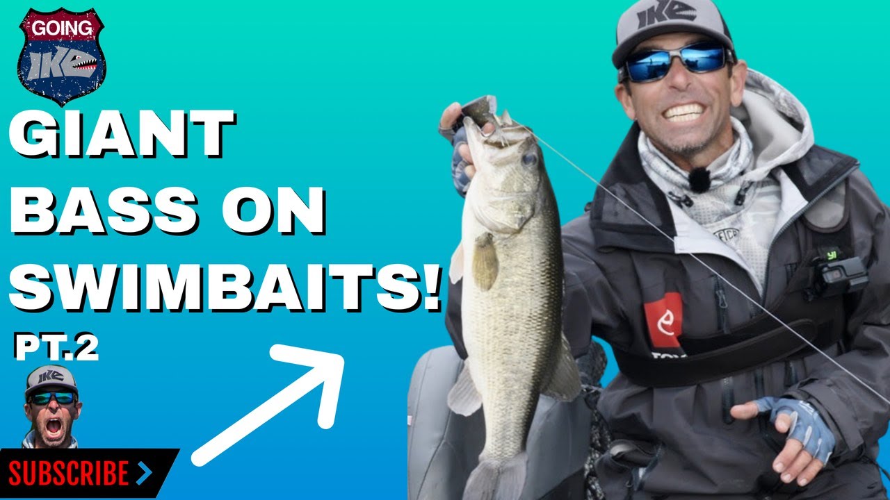 GIANT BASS on SWIMBAITS! (PT.2) Bass Fishing Video
