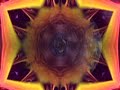 Solfeggio Harmonics - 396 HZ - Liberation from Fear