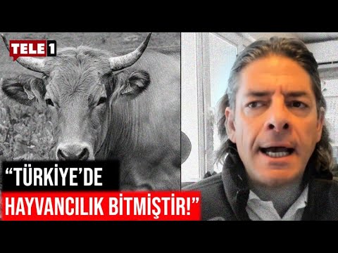 Sencer Solakoğlu: Bu Ülkenin Gençleri Çiftçilikten Koptular!