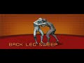 Master Moves of Savate (French Kick Boxing) : Human Weapon