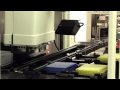 Beckman Coulter — Automated Molecular Analysis