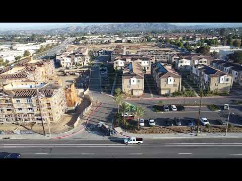 Palmera welcome video