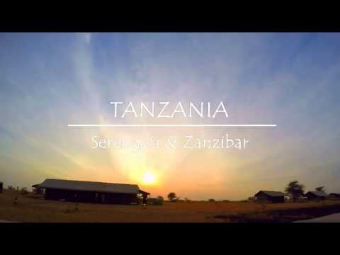 Tanzania - Lion King Adventures