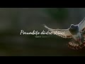 Porumbio dintre stnci - Gabriel Ciubotaru