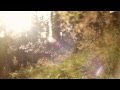 Slow, Calm and Peaceful Instrumental Music - smooth piano and guitar - relaxdaily N°055