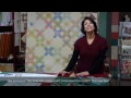 Criss Cross Quilt Curso Online!