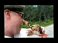 TOP Funny Videos Of PEOPLE FALLING 2013 New! getting hurt fat people falls fail falling November