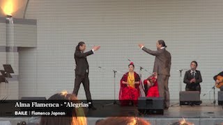 アルマ フラメンカ「アレグリアス」の画像