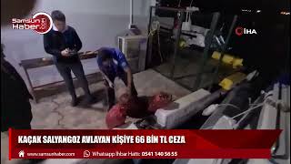 Kaçak salyangoz avlayan kişiye 66 bin TL ceza