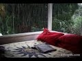 09 Horas Com Sons da chuva para dormir e relaxar!!!