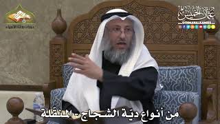2305 - من أنواع ديّة الشجاج - المنقّلة - عثمان الخميس