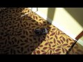 Photographer Noah Fallis - Hotel Interior Photography Lighting