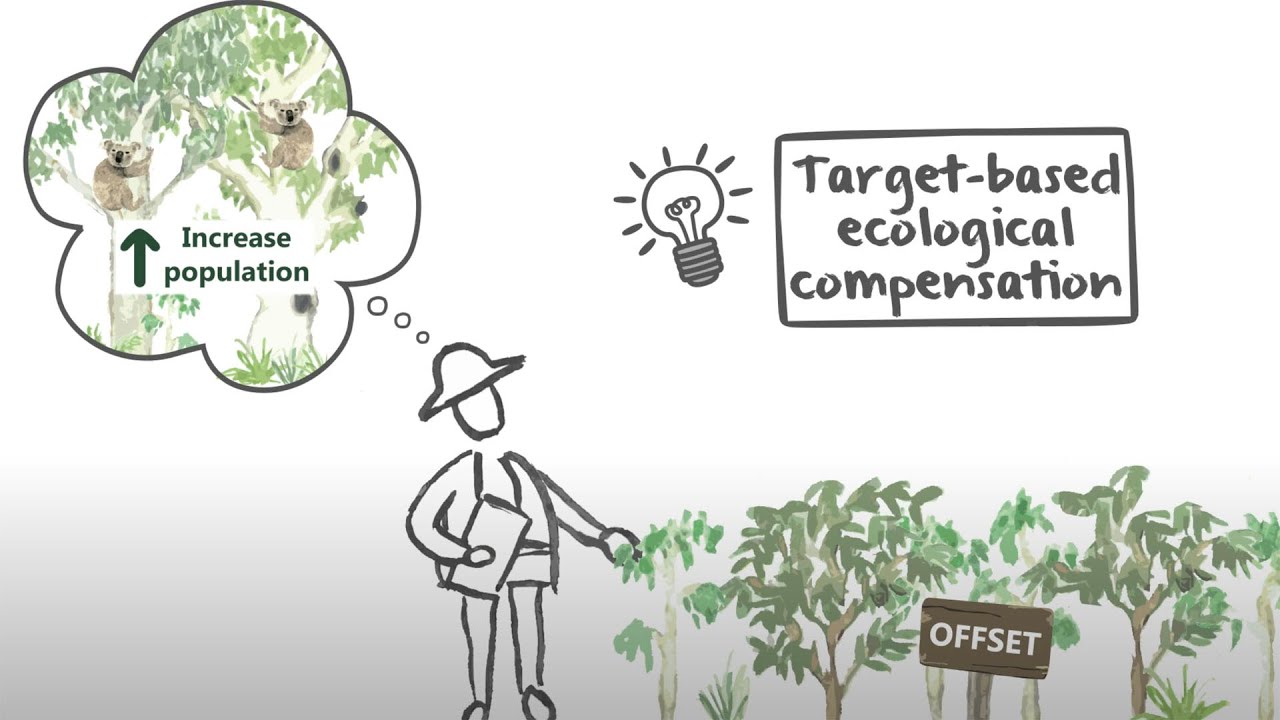 V8. Target-based ecological compensation video thumbnail