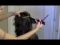 How To Layered Medium Length Hair Cut