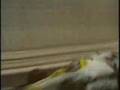 1984 Monaco Grand Prix - part 5 1984 Monaco Grand Prix - part 5
