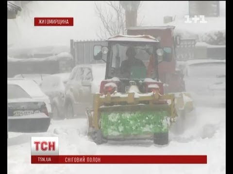 В Житомире за день выпала месячная норма осадков