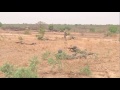 UK and Irish troops training the Mali Army