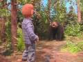 How to Survive a Bear Attack