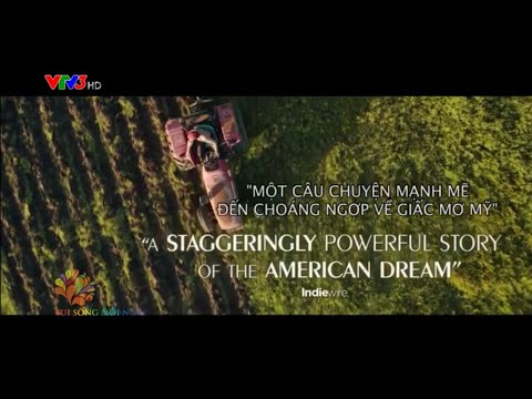 Một ngành ĐH ở Việt Nam đứng thứ 101 - 150 thế giới