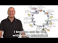 Krebs! (Mr. W's Krebs Cycle Song)