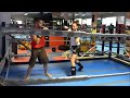 Yvonne Pfe best of Kickboxing