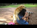Woman, Sex, Dog! High Quality