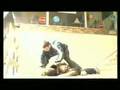Police Defense Tactics (Techniques of Police) Police Defense Tactics (Techniques of Police)