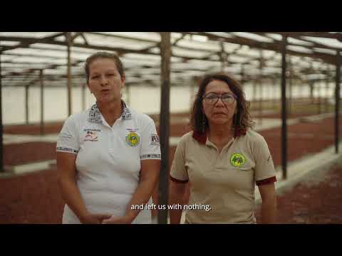 Testimonios de cultivos alternativos a la hoja de coca: Cooperativa de mujeres Colpa de Loros
