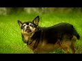 HV20 / HV30 / HV40 FOCUS/SLOW MOTION