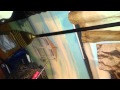My Witchy Broom And Room. Magic Video