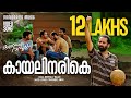 Kayalinarike song from film Annayum Rasoolum